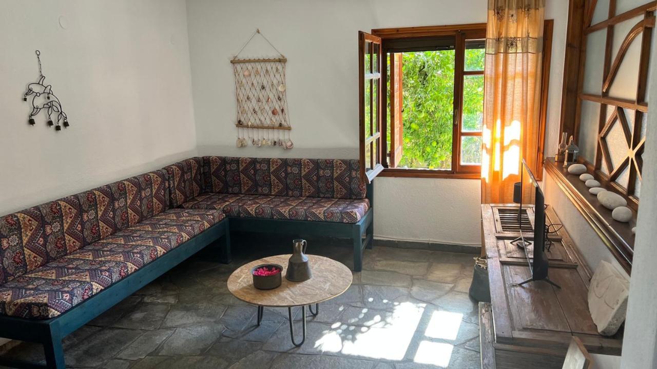 Thassos Allegro Apartment Λιμενάρια Εξωτερικό φωτογραφία